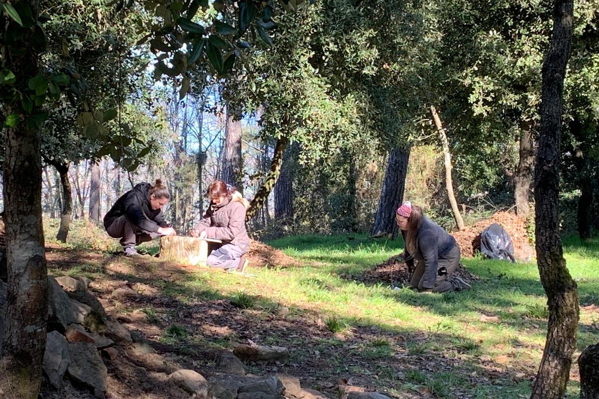 petrarvella 1
